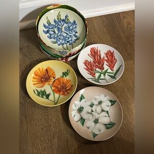 4 YOSEMITE National Park 6” plates with round plate box